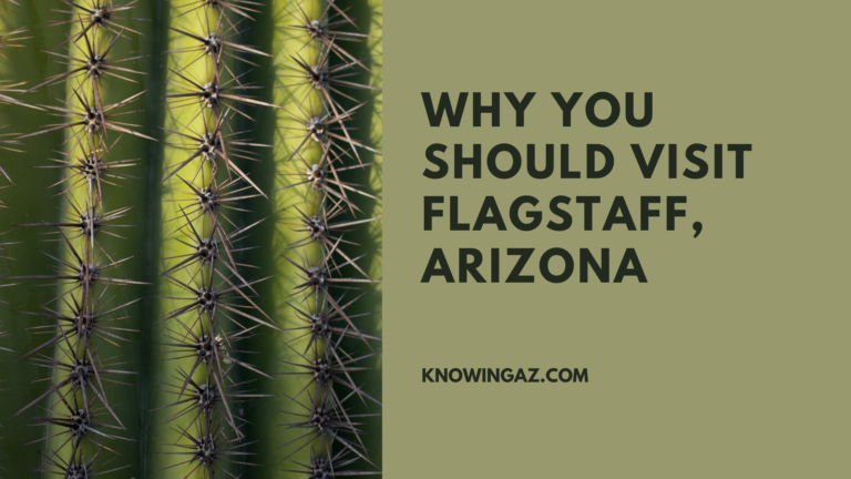 Why You Should Visit Flagstaff, Arizona: A Year-Round Adventure