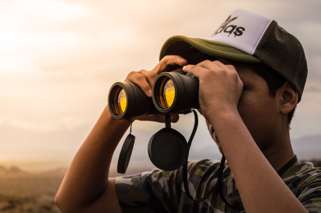 Birdwatching in Arizona