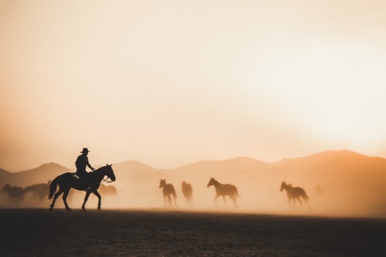 Were There Cowboys in Arizona? Cowboy Legacy